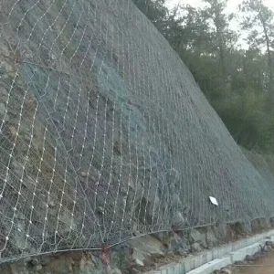 Slope Guardrail Mesh